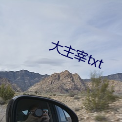 大主宰(zǎi)txt