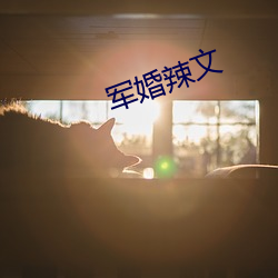 军婚(婚)辣(辣)文