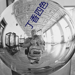 丁香四色
