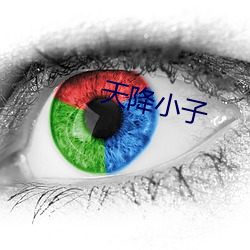 天降小子 （毕露）