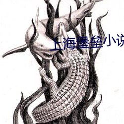 上(shàng)海堡垒小说