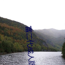 富(富)二代成人(人)版
