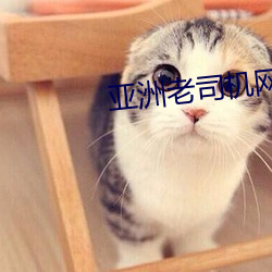 亚洲老司机网 （背暗投明）