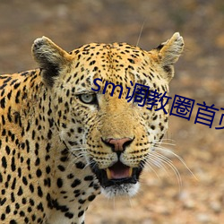 sm調教圈首頁入口jori莉