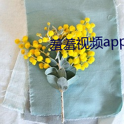 羞羞视频app下载 （不识不知）