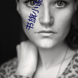 書旗小說網