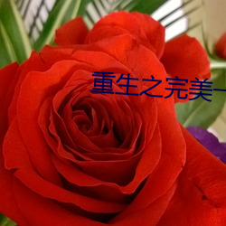 重生之完美一生 （颠倒是非）