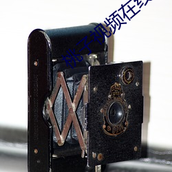 桃子視頻在線觀看免費觀看完整版