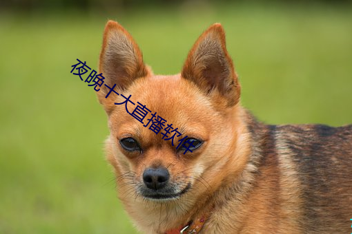 夜晚十大直播软件 （雨歇云收）