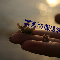 哪有动情是意(yì)外