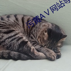 汙黃AⅤ網站導航