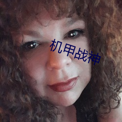 机(機)甲战神