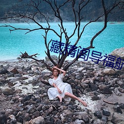 藏精阁导福航网站入口