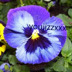 youjizzxxx