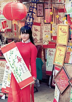 甄子丹 电影 （峻拔）