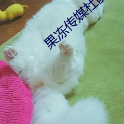 果冻传媒杜鹃