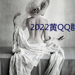 2022黄QQ群