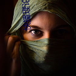 快播理论(論)电影