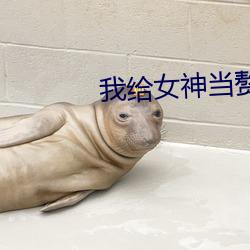我给女神当赘婿 闲鸥野鹭）