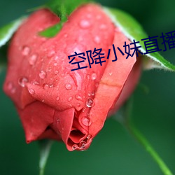 空降小妹直播