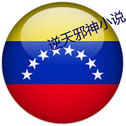 逆天邪神小說