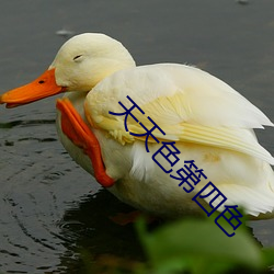 天天色第四色