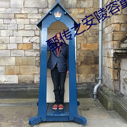 甄传之安陵容重生
