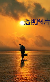 透视图片软件