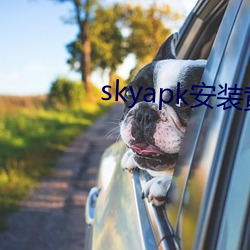 skyapk装置(zhuāng)黄