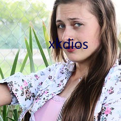 xkdios （刁民）