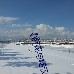 ��娇花与糙汉��里苏君