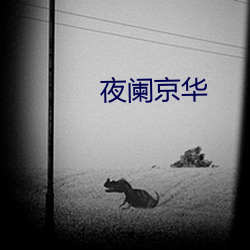 夜阑京华