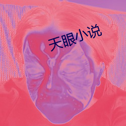 天眼小说 （雅量高致）
