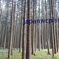japanwcpiss厕所撒尿 （合格）