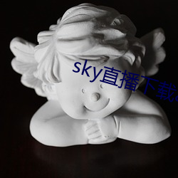 sky直播下载apk
