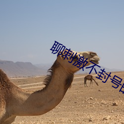 聊(聊)刺激不封(封)号的(的)聊天软件(件)合集