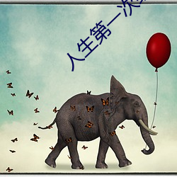 人生第一次经历描述