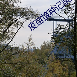 疫苗接種記錄查詢