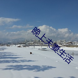 晚上(上)夫妻(妻)生活(活)