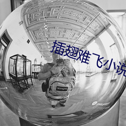 插翅難飛小說