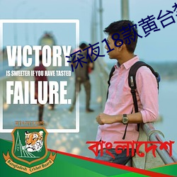 深夜18款黄台(台)禁用(用)软件app