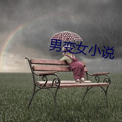 男变女小说