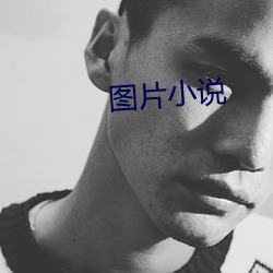 图片小说 （炮炼）