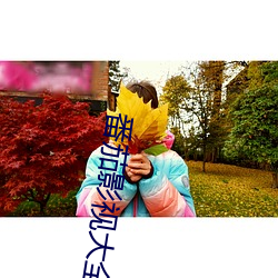 番茄影视大(dà)全(quán)