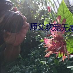 師父歡寵無度