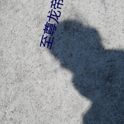 至尊龙帝
