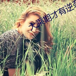 大乘期才有逆袭系统 语妙绝伦）