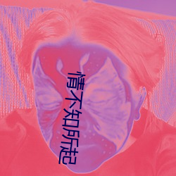 情(情)不(不)知所起