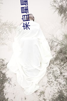 來自星星的你歌曲