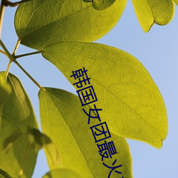 BG大游(中国)唯一官方网站
